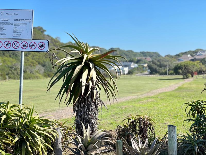 3 Bedroom Property for Sale in Hersham Western Cape